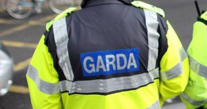Garda logo