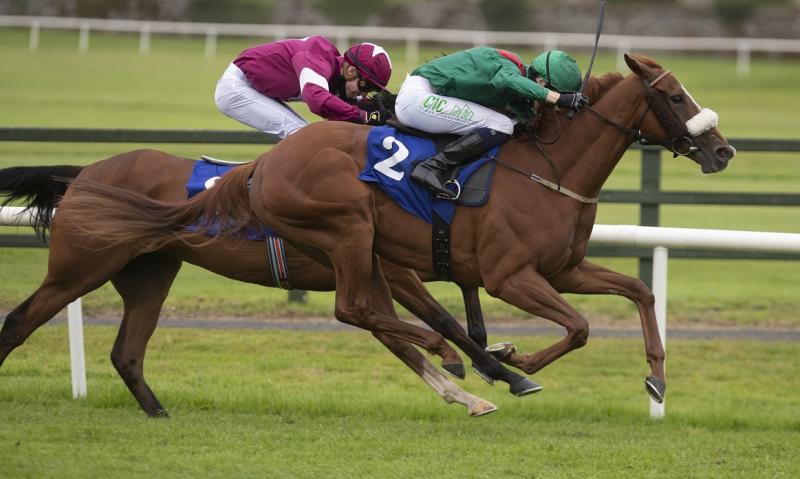 Donegal's Orr brothers continue to boot home winners at Irish racetracks