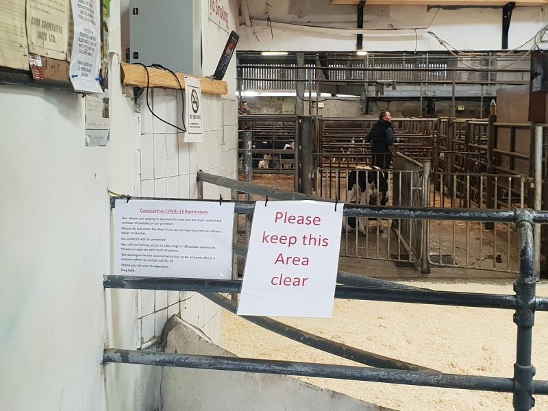 New regulations for mart operations in Donegal