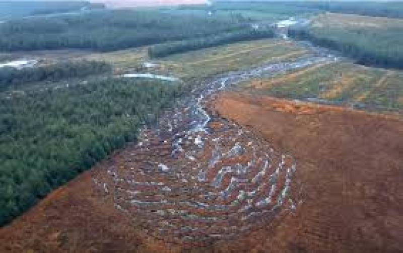 Thomas Pringle TD slams Government for sitting on wind farm guidelines