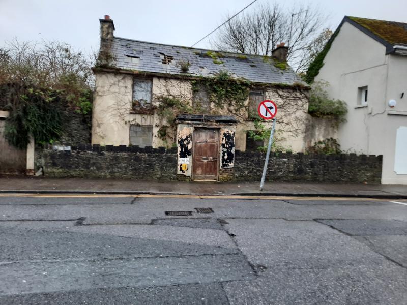 House purchase clears way for exciting new development in Offaly