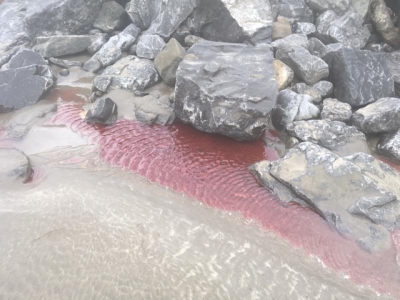 Council calls on homeowners to check for leaks after oil found on popular Donegal beach