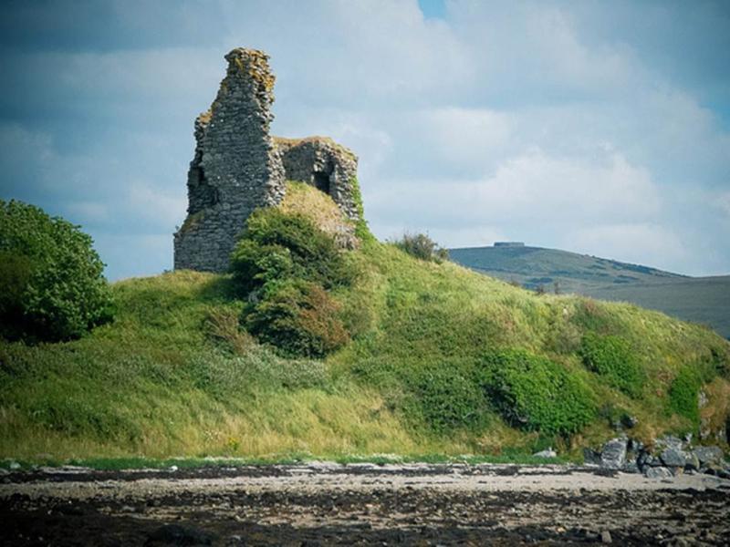 Campaign group to save and restore an historic local castle 