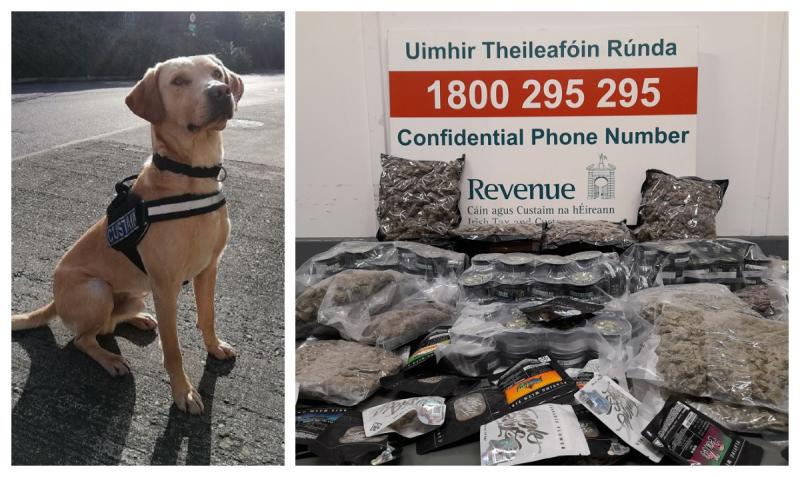 National: Detector dog Bailey sniffs out drugs destined for addresses in five counties at postal hub