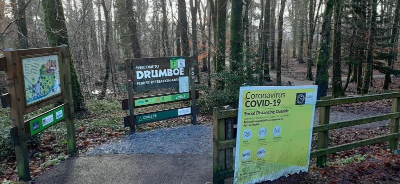 Historic Donegal wood under threat from litter louts