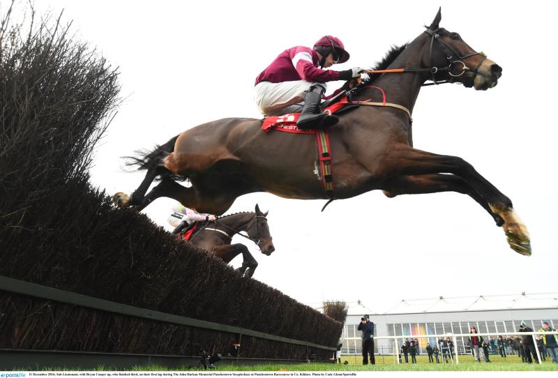 AINTREE GRAND NATIONAL TIPS - Three horses to back in the Grand National