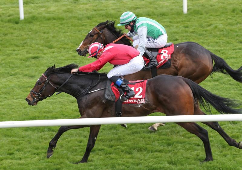 Another good week for Donegal jockey with wins at Gowran Park on Wednesday and Thursday