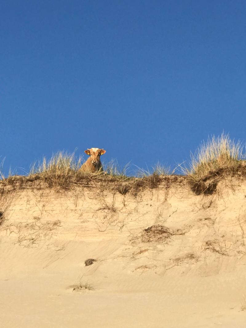 A dry and fresh Saturday morning but rainy spells expected in the west later this afternoon