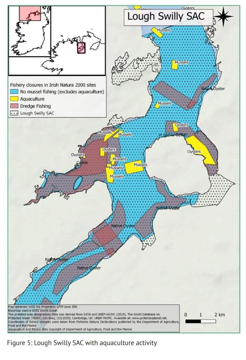Lough Swilly's native oyster population facing 'collapse'