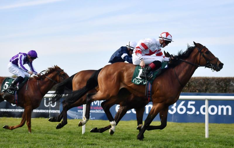 Donegal jockey guides Baron Samedi to victory in top race at Navan with €30,000 prize for first place