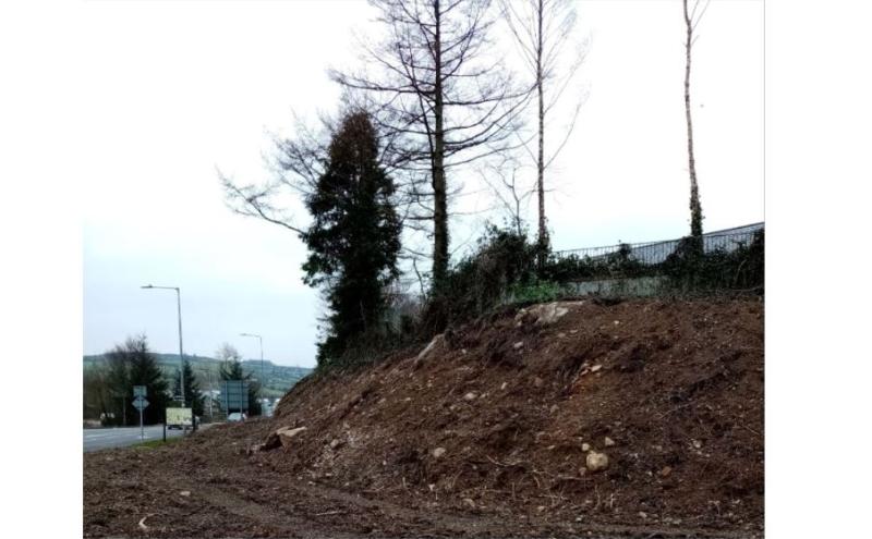 Donegal school fuming at Co Council decision to demolish rich wild habitat