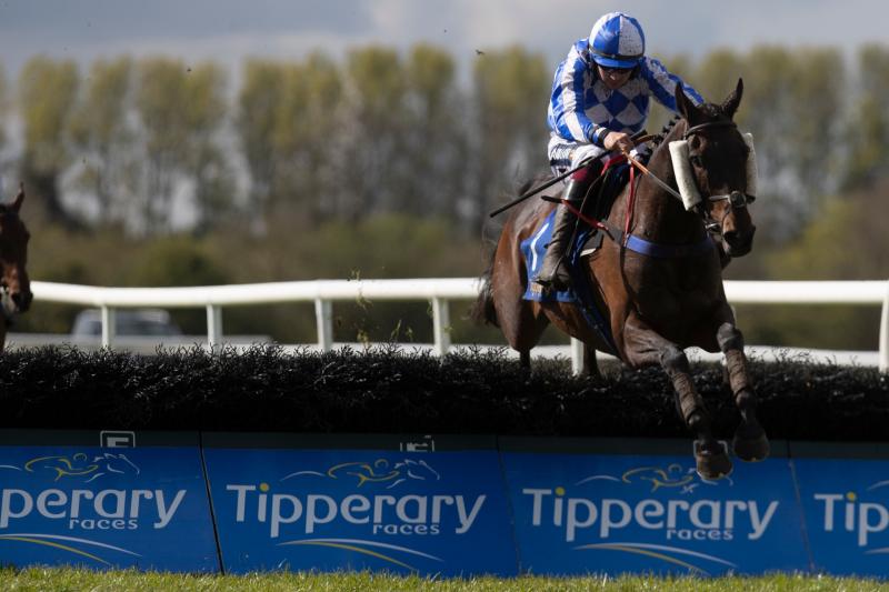 More wins for Donegal jockeys at Gowan Park, Tipperary and Cork