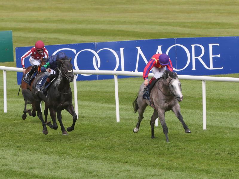 Donegal Racing: Dylan Browne McMonagle on the mark on the double