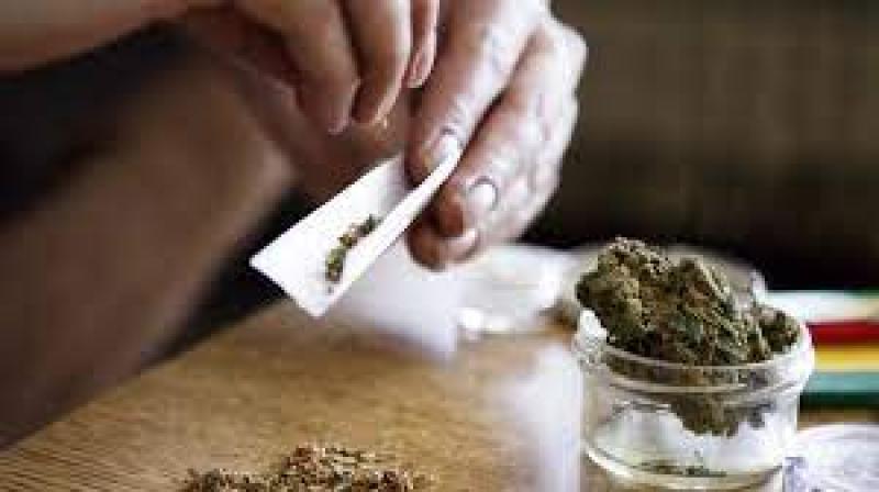 Drug convictions "only the tip of the iceberg" claims councillor