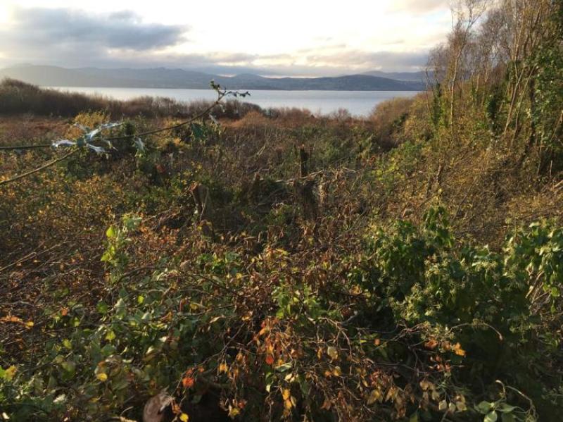 Lough Swilly SAC under continuing attack