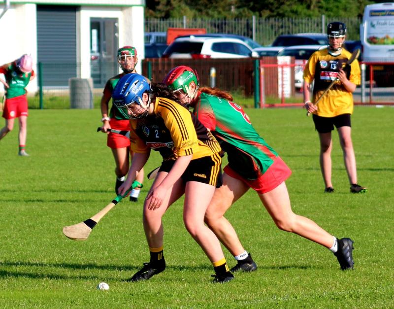 Carndonagh too strong for St Eunan's in camogie clash 