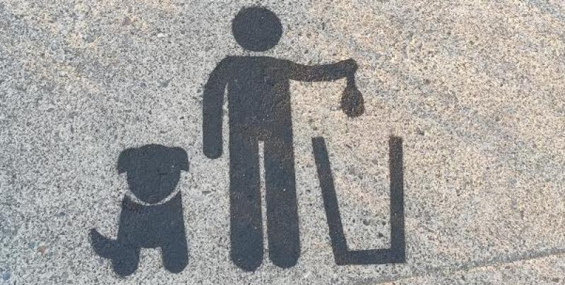 Offaly people encouraged to bag the poo