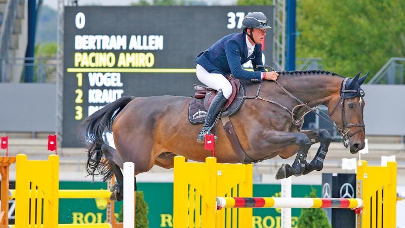 Donegal horse will be used by top Irish showjumper in Tokyo Olympics