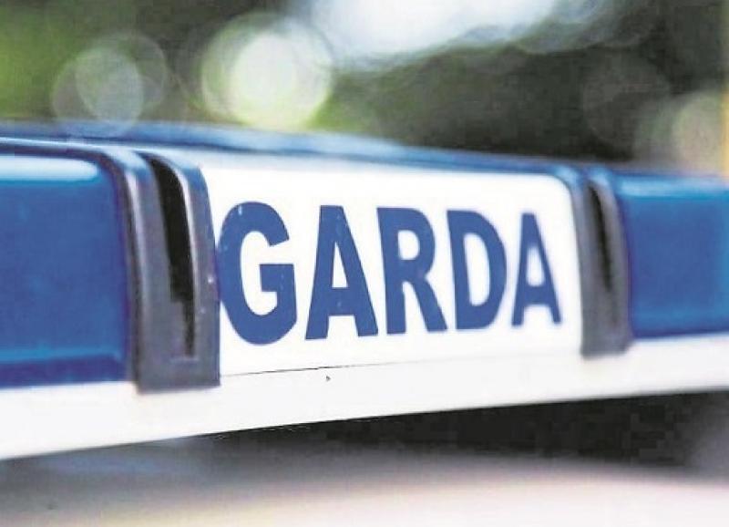 Gardaí seek four males who they suspect stole boxes of alcohol, confectionary and toilet roll