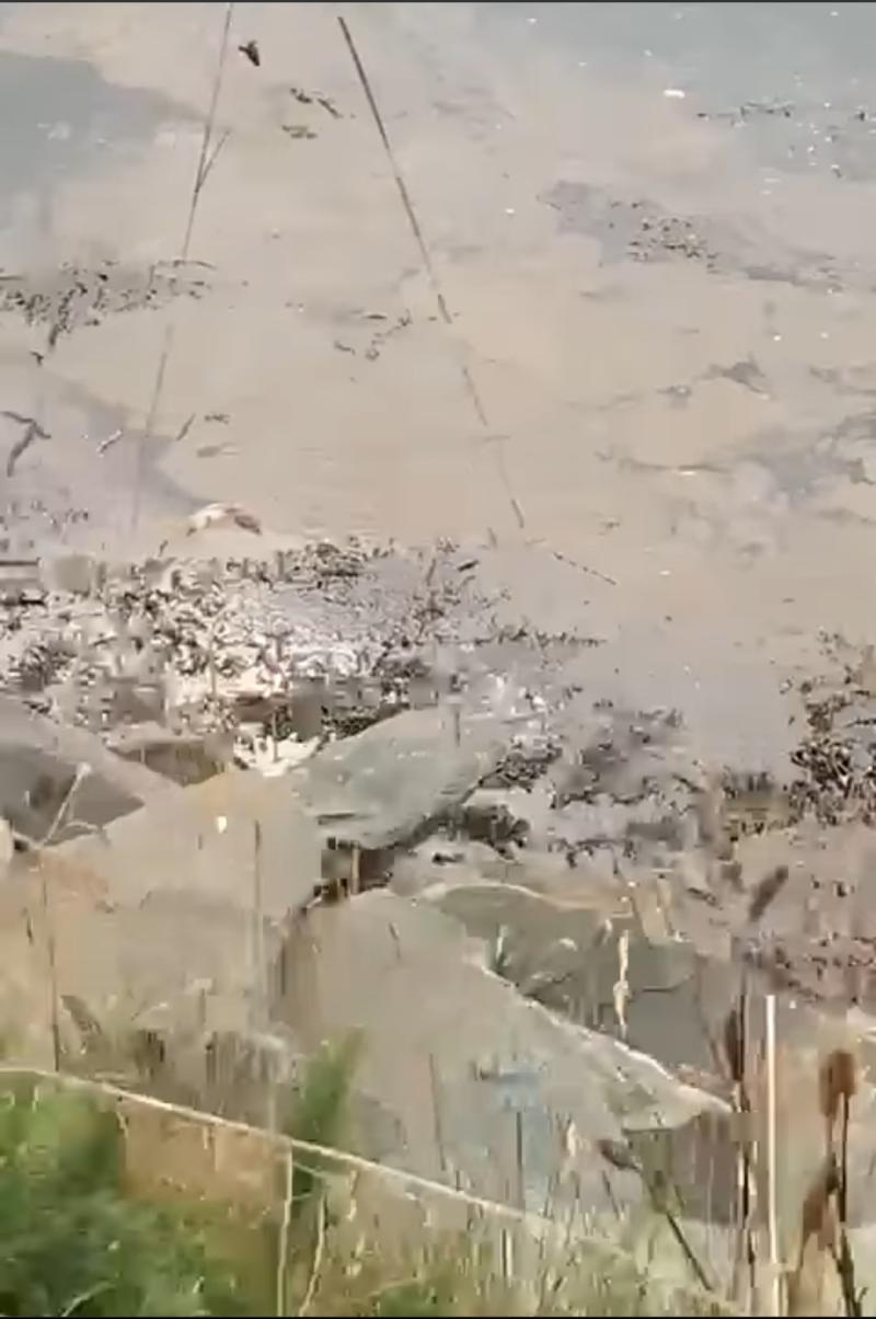 Slurry dumped into Lough Swilly