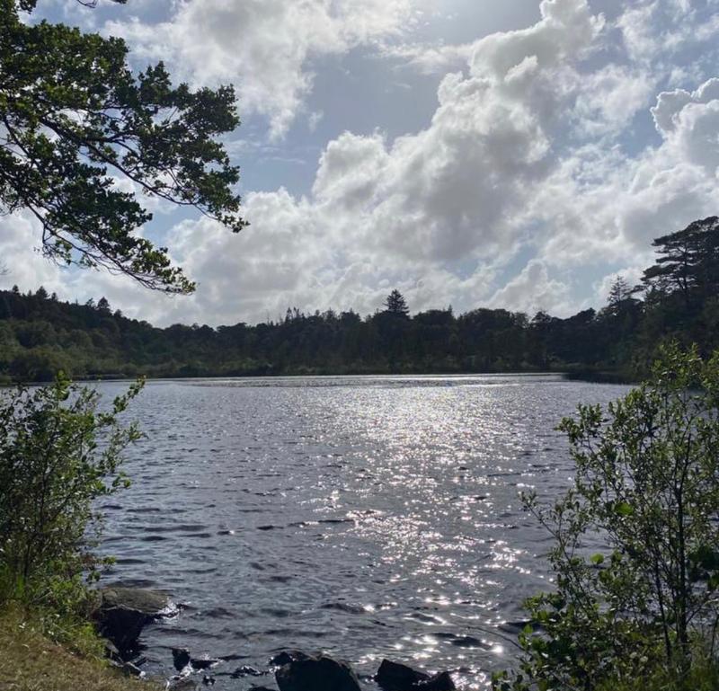 Funding of €60,000 welcomed for Ards Forest Park