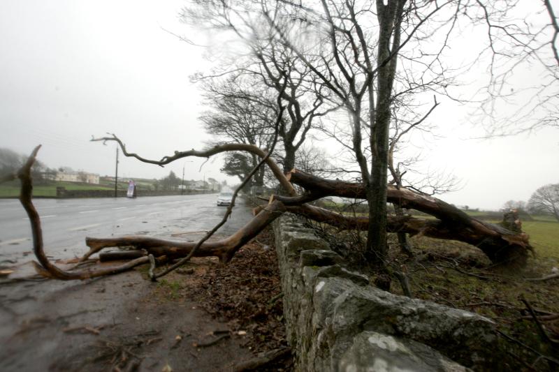 Wind warning ahead for Donegal folk - strong and gusty winds forecast