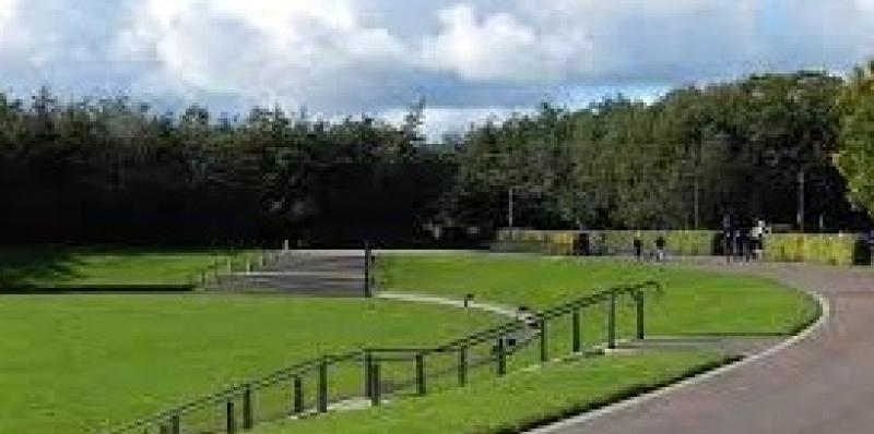Call for more pedestrian access to Bernard McGlinchey Town Park