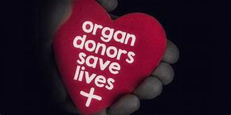 organ donation