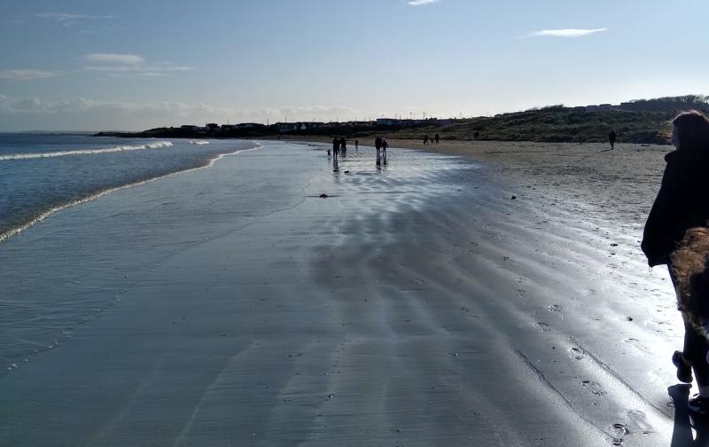 Water Safety Ireland issues appeal after tragic drownings