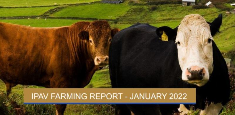 Land prices rising in Donegal, according to IPAV Farming Report 2021 