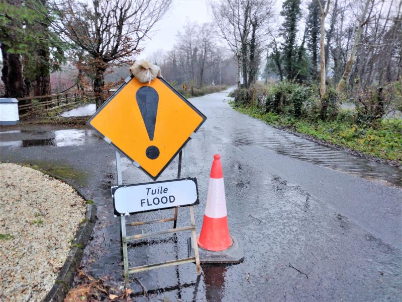 Lots of debris and some fallen trees across Longford in the wake of Storm Dylan 