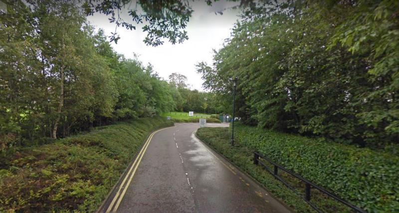 Man punched to the ground during assault in 