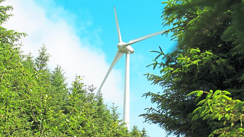 Let’s harness our natural assets to beat the climate emergency