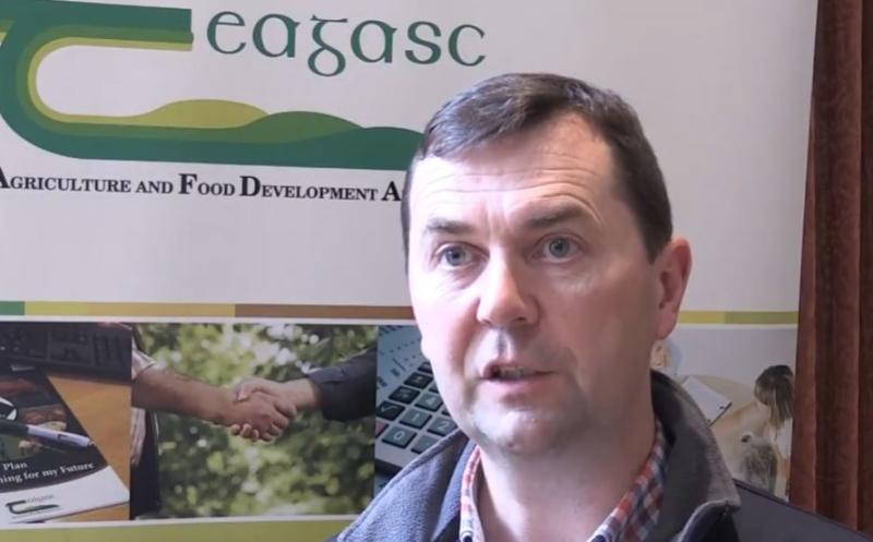 Outlook for beef prices is positive, Donegal IFA meeting hears