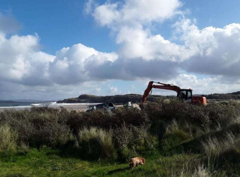 Authority removes invasive species from Dunes