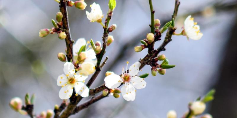 Weather outlook for Donegal this Easter Bank Holiday weekend