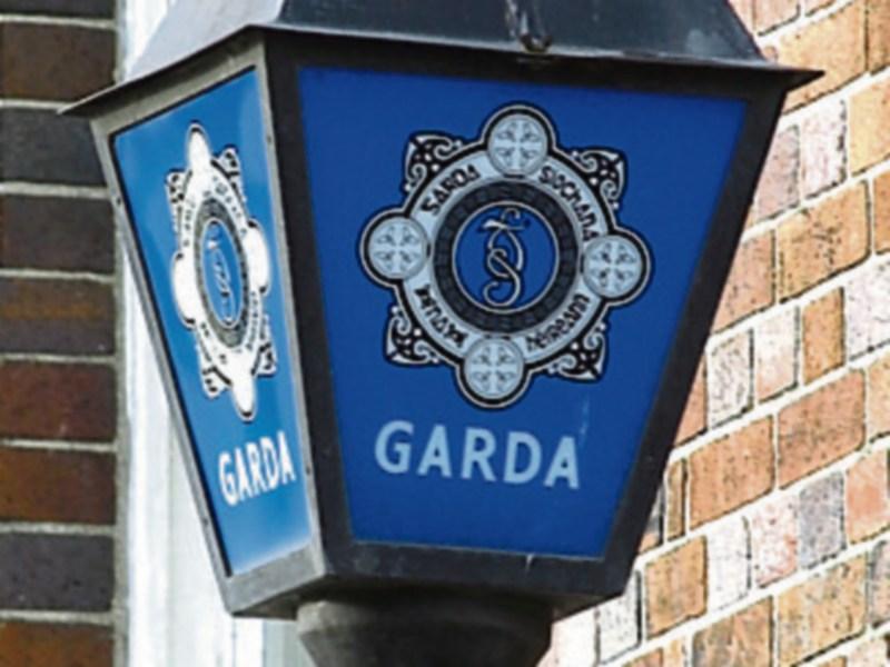 Garda&iacute; seek information after BMW drove away from scene of collision