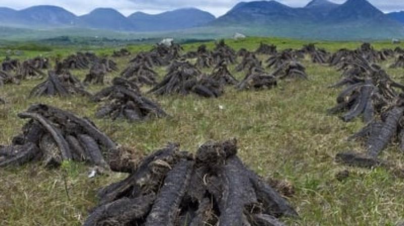 Government not proposing turf burning ban
