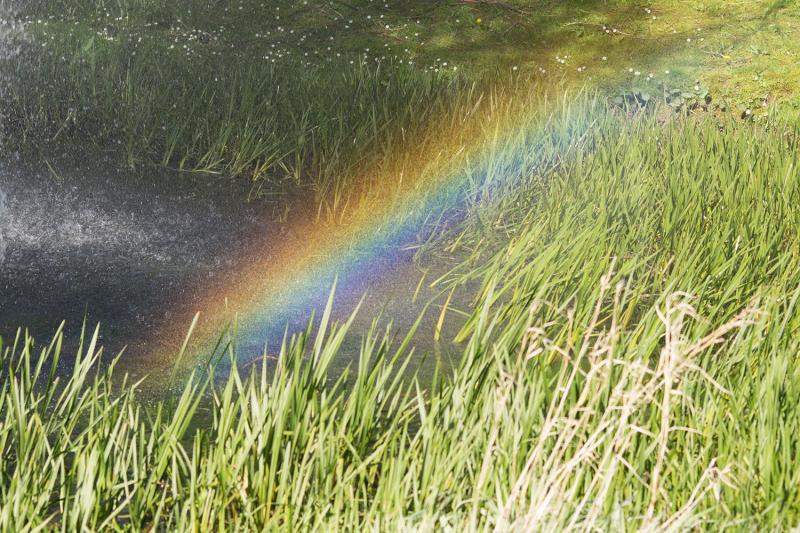 Column: Changing our language to turn the tide on homophobia and transphobia