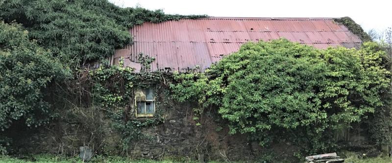 Local delight at Heritage Council funding to begin process of restoring Kinny Cally Hall in St Johnston