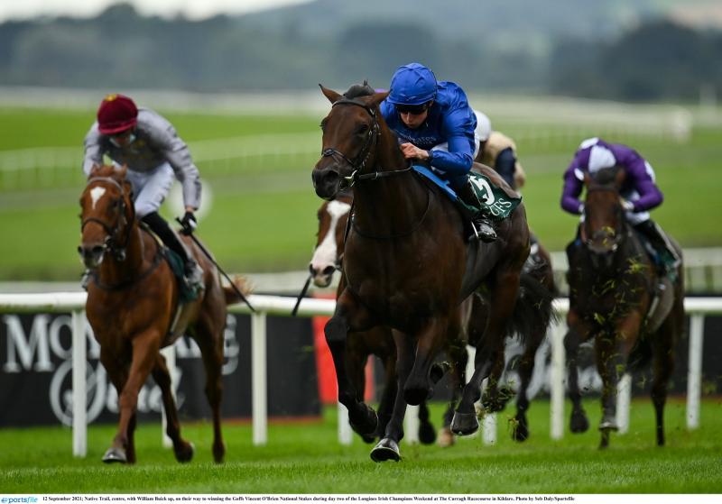 RACING: Top tips for 2,000 Guineas day at the Curragh 