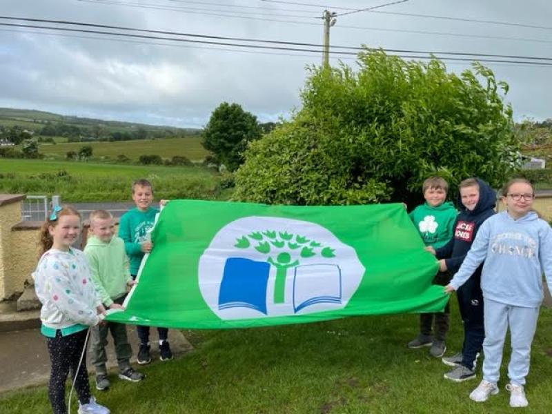 Ice cream and jelly celebrations for St Johnston pupils