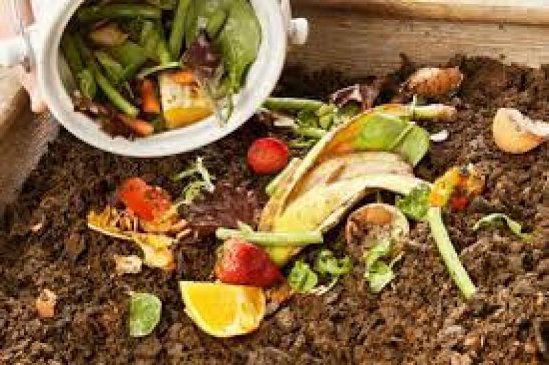 Fight climate change in Donegal by disposing of your leftover food properly
