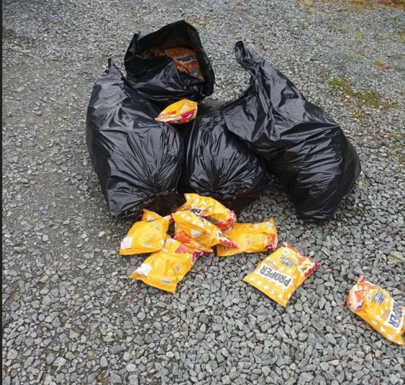 Illegal dumper caught on CCTV 