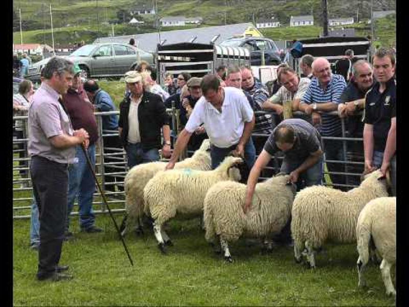 Cash boost for seven Donegal agricultural shows