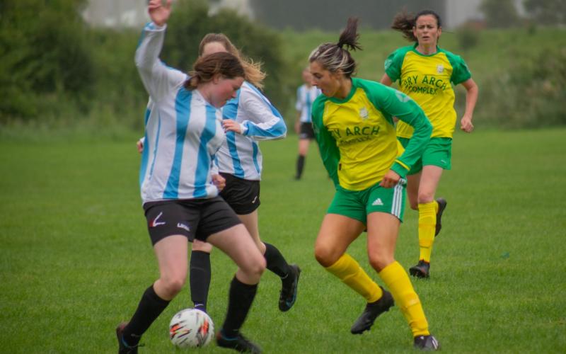 Bonagee stick to their laurels to beat Lagan with three second half goals