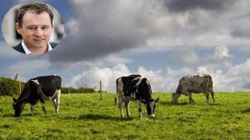 McConalogue confirms 25% reduction in agricultural emissions
