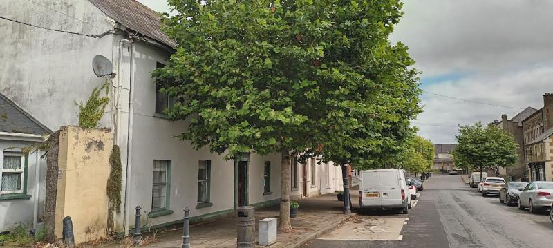 Lifford woman wants council   to ‘green’ up its act
