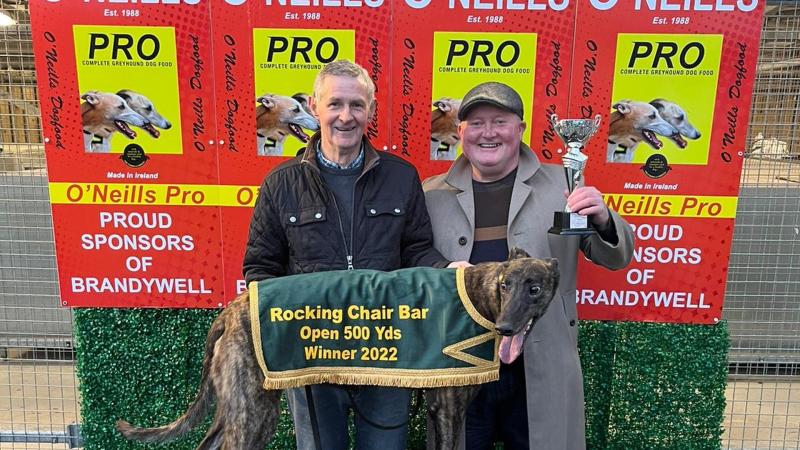 Donegal greyhound upsets the odds to reach Irish National Sprint Cup
