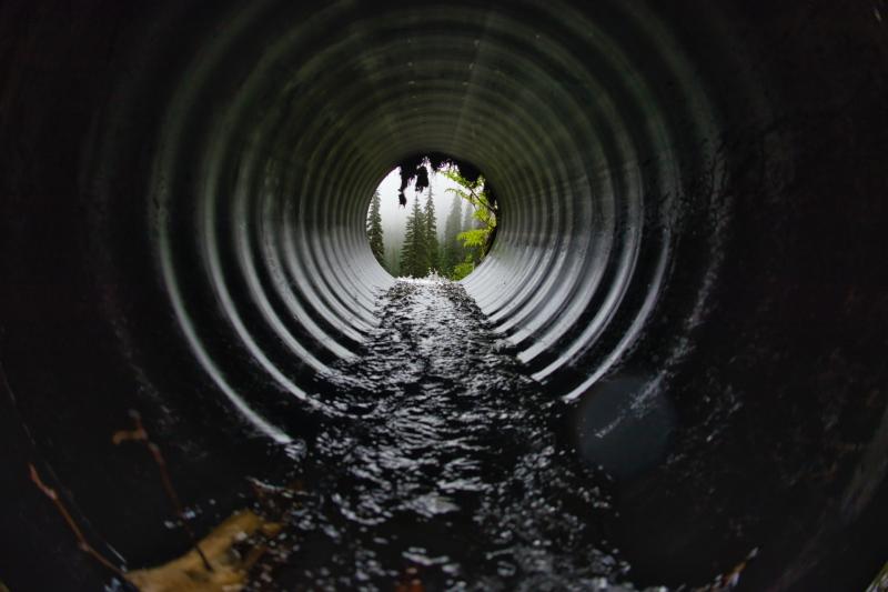 Public warned of risk of Weil’s Disease following  heavy rainfall